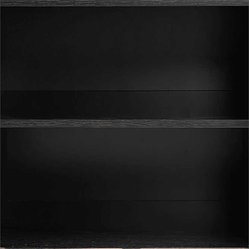 Close-up interior view of black reeded sideboard showing two empty shelves