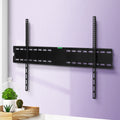 Black wide fixed TV wall bracket on purple textured wall lifestyle with potted plants and cactus on wood tray below