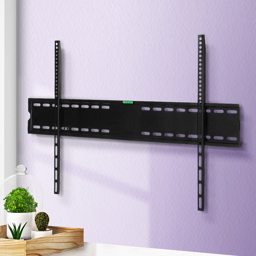 Black wide fixed TV wall bracket on purple textured wall lifestyle with potted plants and cactus on wood tray below