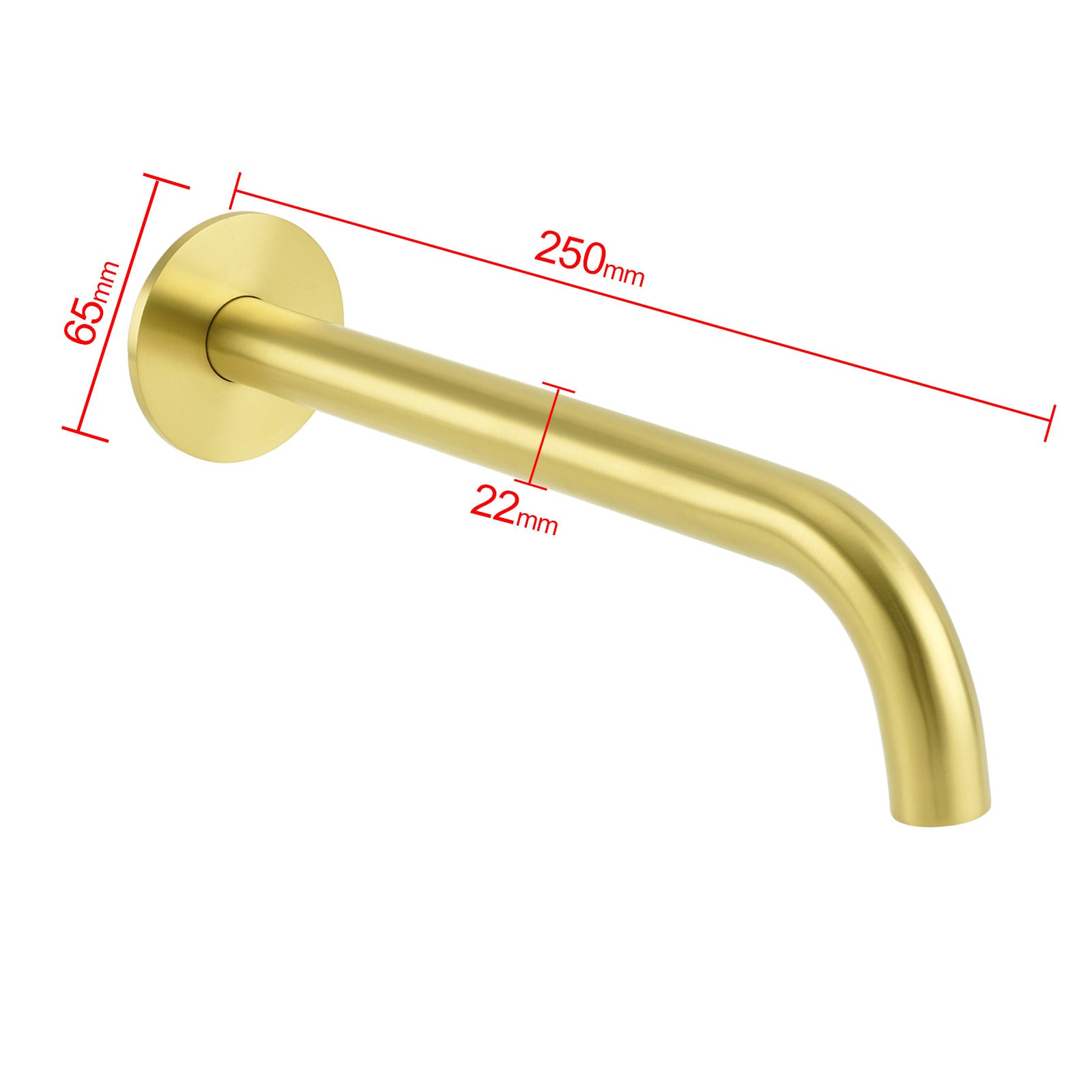 Dimension diagram showing 250mm length, 65mm wall height, 22mm outlet diameter
