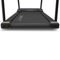 Overhead view of Reformer 2 running belt showing DuraGrip textured surface and Lifespan branding