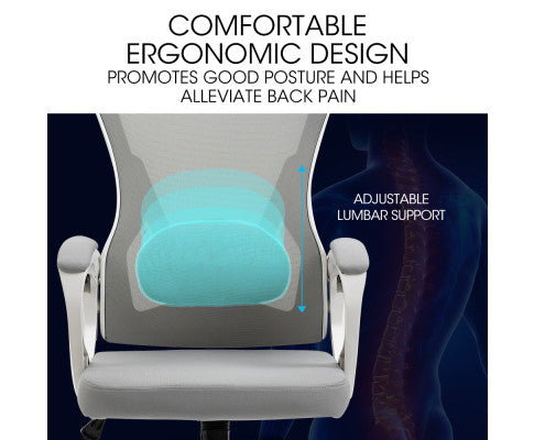 Office chair feature infographic showing adjustable lumbar support with spine diagram and ergonomic design text