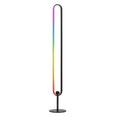 RGB LED floor lamp with tall oval loop frame displaying rainbow gradient colours on black stand, white background