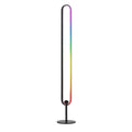 RGB oval LED floor lamp with rainbow gradient colours on tall black frame, front-facing view on white background