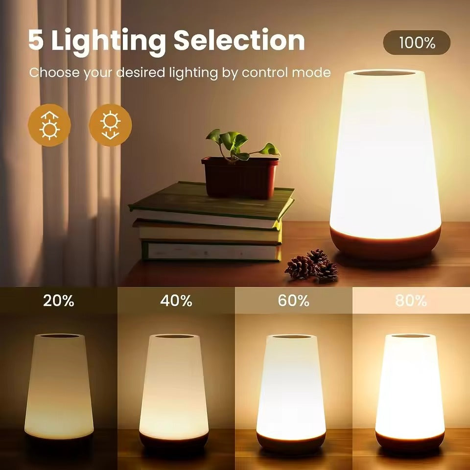 5 Lighting Selection infographic: lamp at 100% on table with books, panels below showing 20, 40, 60 and 80 percent brightness