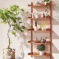 Wall-mounted ladder shelf styled with potted plants, ceramics, and a teapot beside a bonsai tree in a bright room